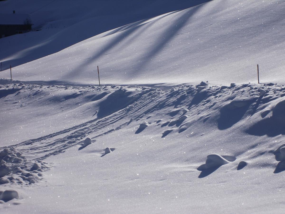 Maisaess Lifinarblick Vila Schruns Exterior foto