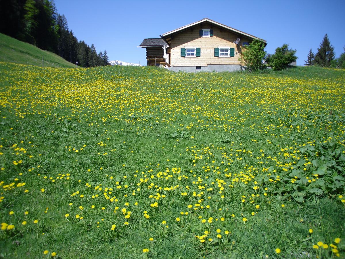 Maisaess Lifinarblick Vila Schruns Exterior foto