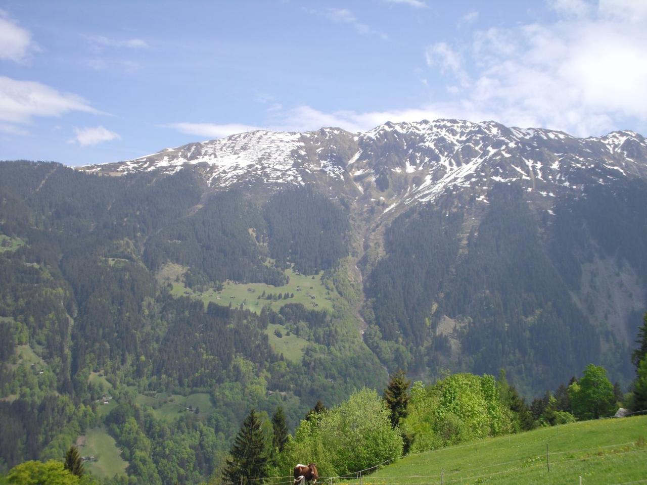 Maisaess Lifinarblick Vila Schruns Exterior foto