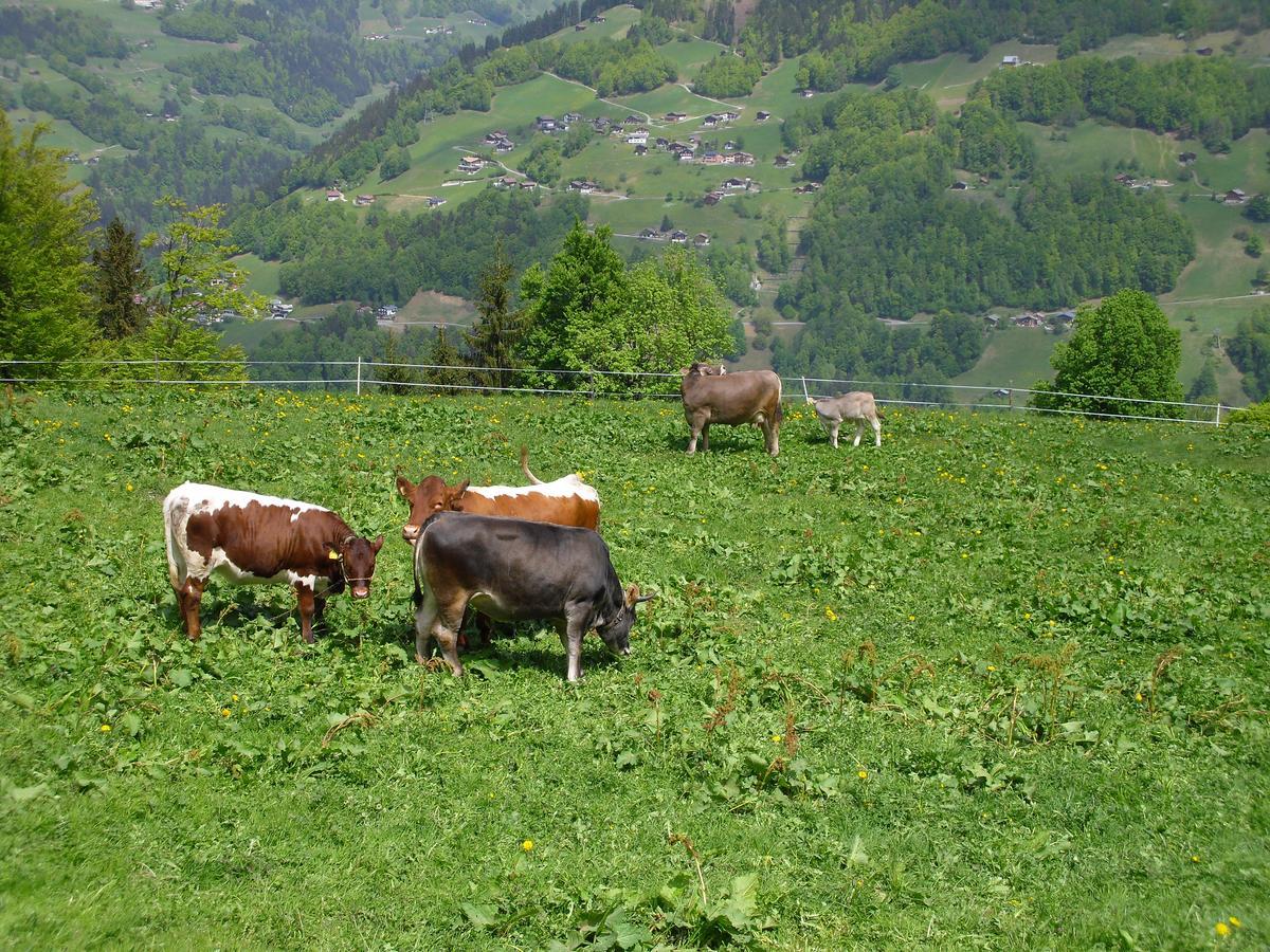 Maisaess Lifinarblick Vila Schruns Exterior foto